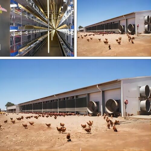 Modular poultry house system for sale