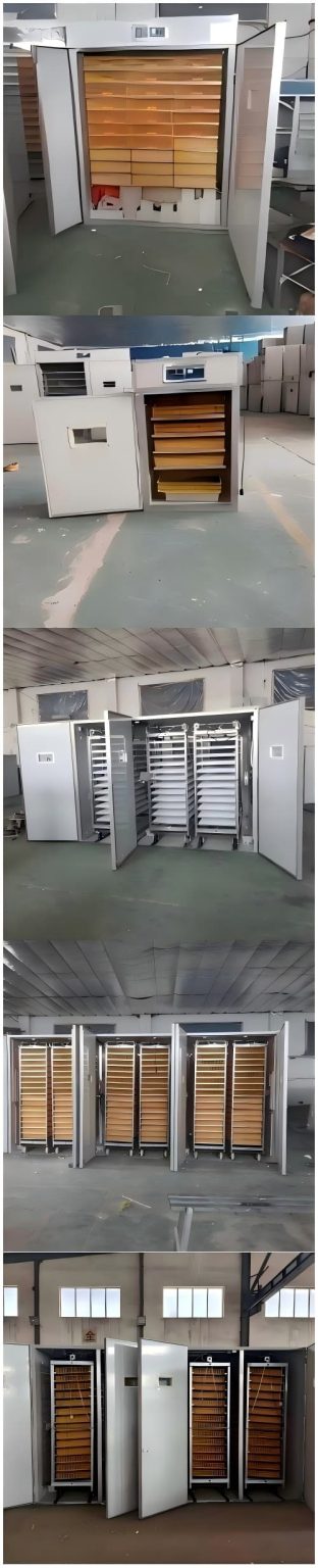 Commercial egg incubator with multiple specification options