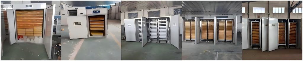 Industrial chick hatchery automation system