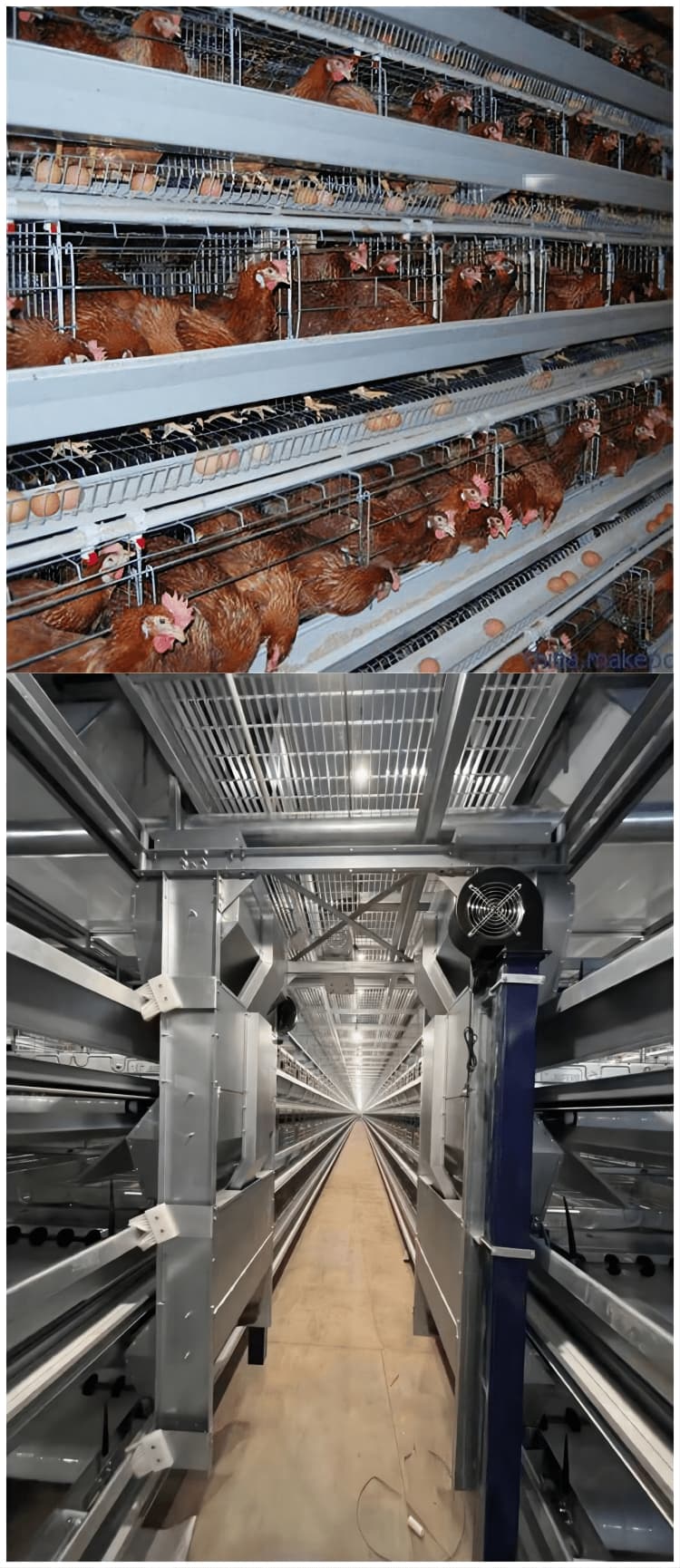 Stainless steel layer cage system