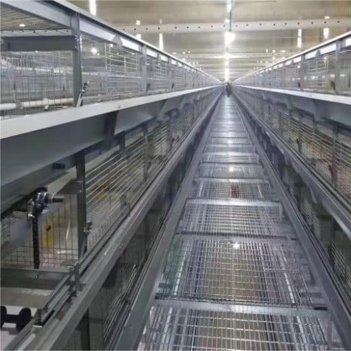 Layer cage system price list