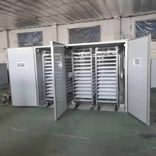 Affordable reliable egg hatching machine