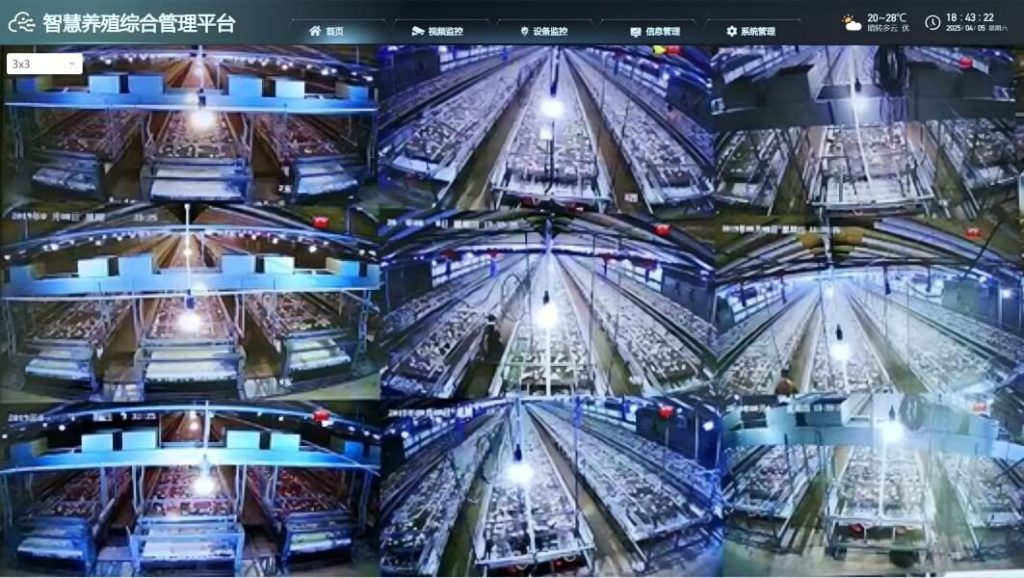 Leading Chinese Poultry Farming Equipment to the Global Market