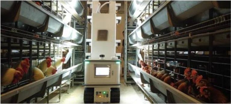 Intelligent Poultry Farming System for Automated Operations*