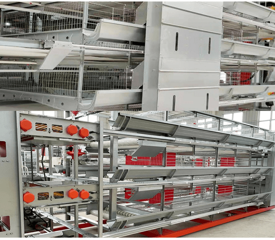 ঢালু চিকেন খাঁচা সরঞ্জাম 2 বিক্রির জন্য বুদ্ধিমত্তাসম্পন্ন স্বয়ংক্রিয় পোলট্রি খাঁচা সিস্টেম